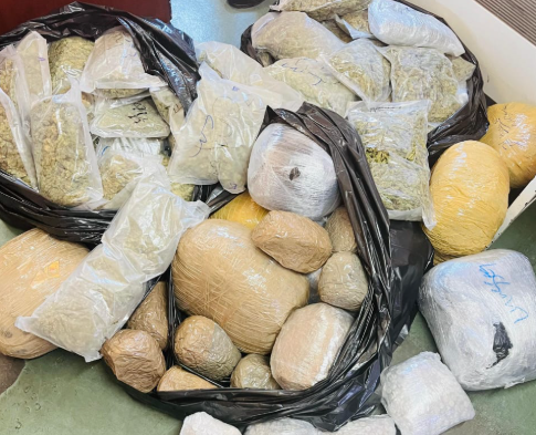 Hawks seize mandrax and dagga worth R900 000 at Oshoek Border