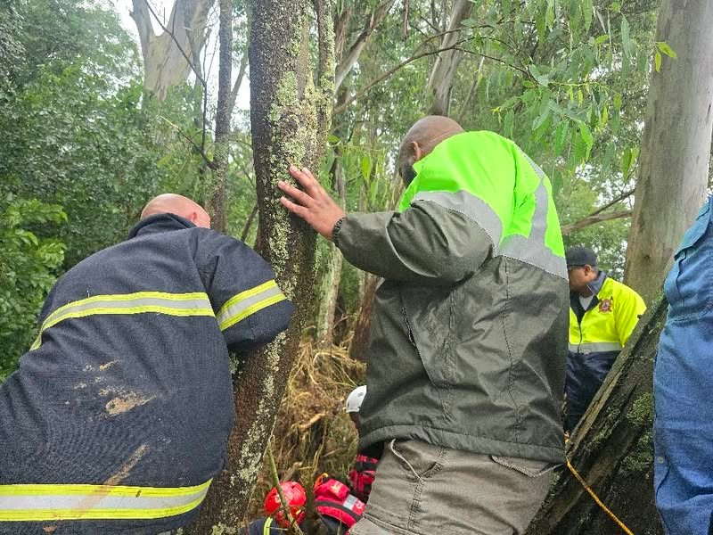 KZN weekend floods: One body recovered as search continues for missing victims