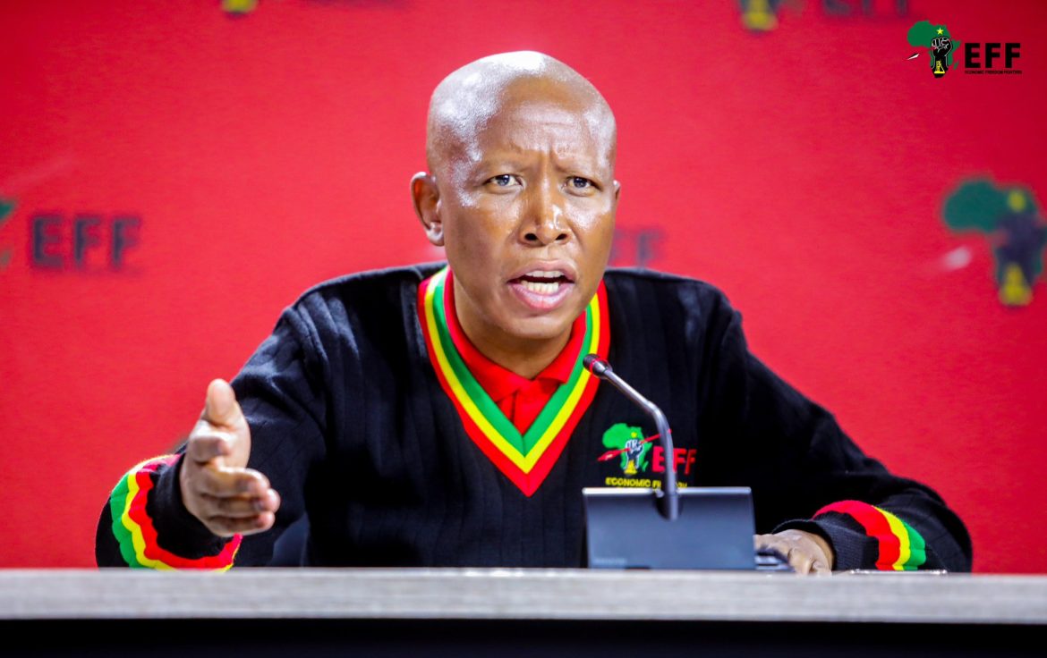 ‘Everyone wants us at G20 except this fool’: Malema urges global boycott after Trump blocks SA