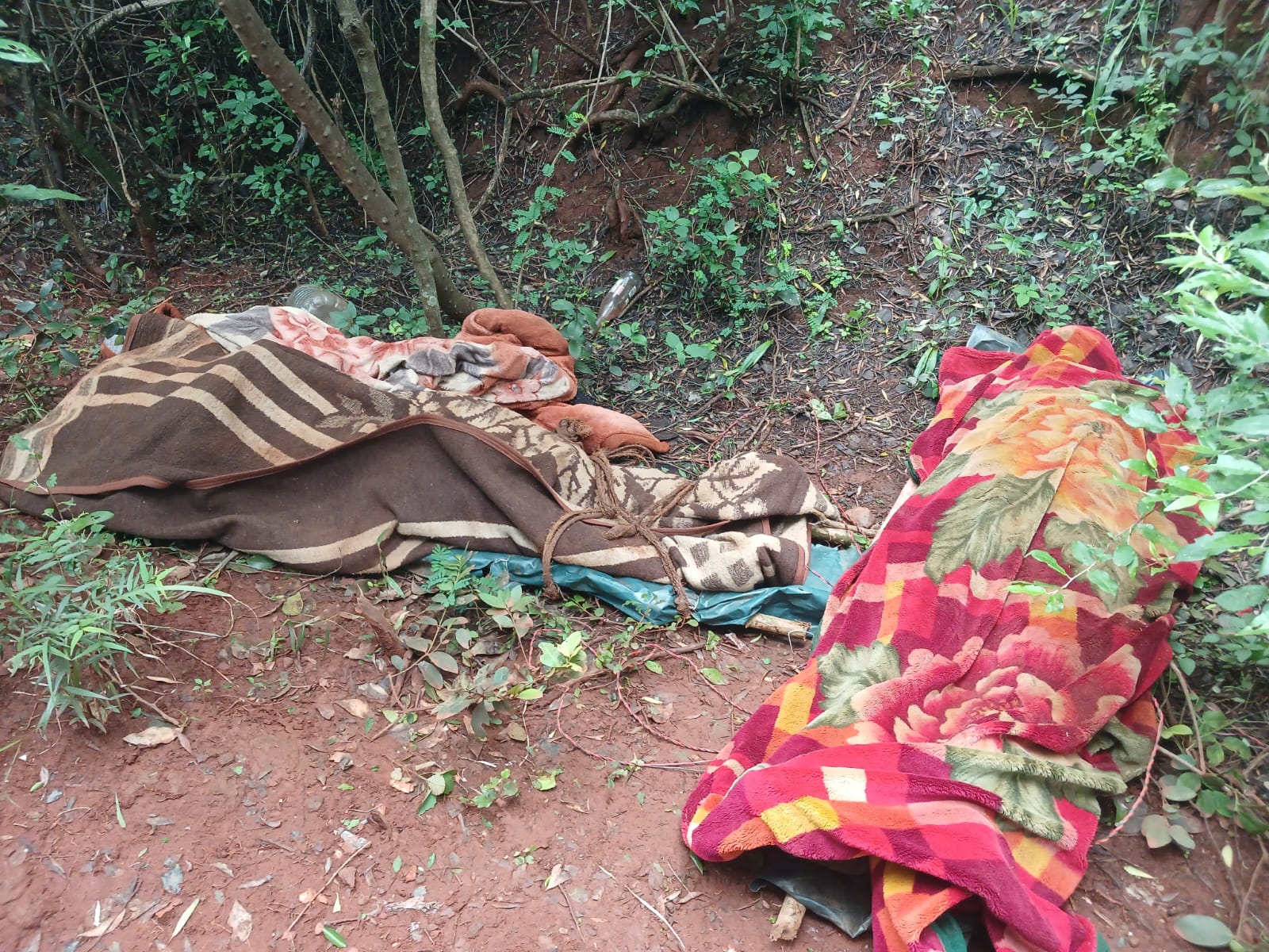 Two men found dead near Lily mine in Mpumalanga 