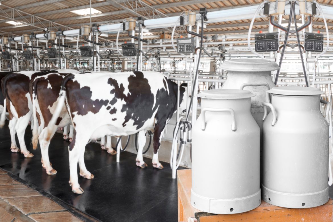Clover warns of ‘irreversible damage’ as foot and mouth disease controls stifle dairy exports