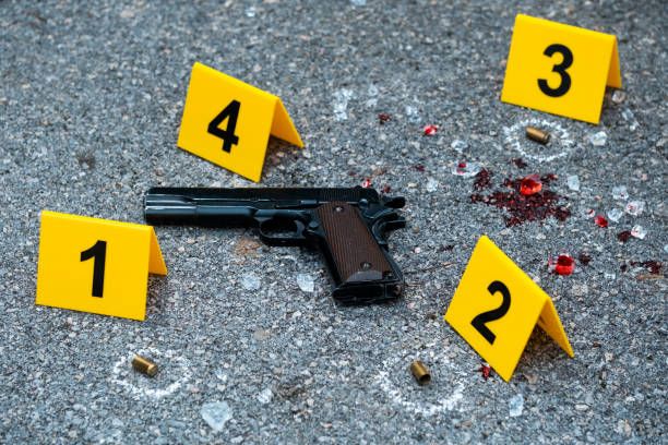 Three arrested after ambushing a minibus travelling to Lesotho, killing six people in Joburg