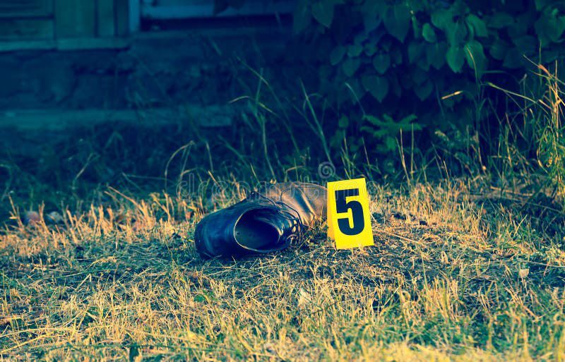 Tragic incident kills Grade 5 learner on school premises in Tembisa