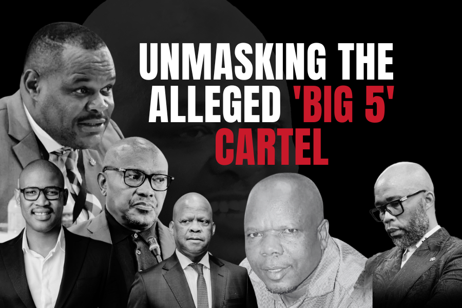 Infographic: Unmasking the alleged 'Big 5' cartel and its alleged criminal web 
