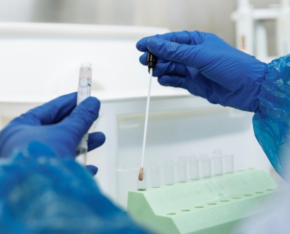 Man jailed for 25 years after DNA links him to two rape cases in Dutywa