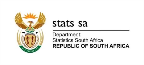 Stats SA confirms cybersecurity breach as over 400 000 job seekers face risk