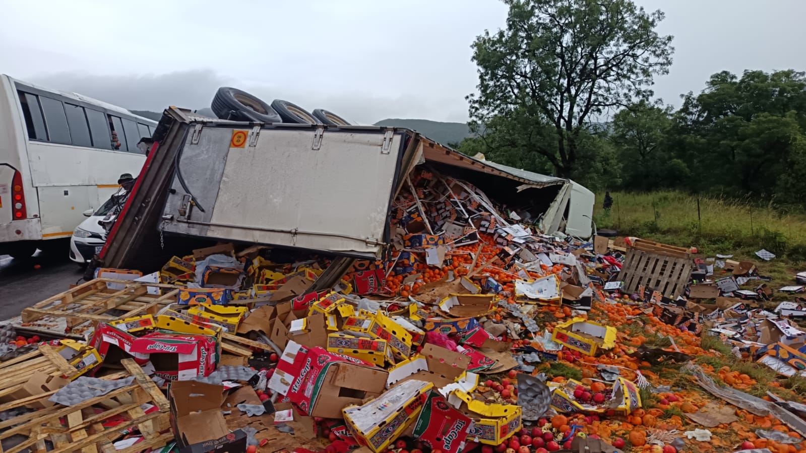 Major disruption on N1 as two truck crashes close highway