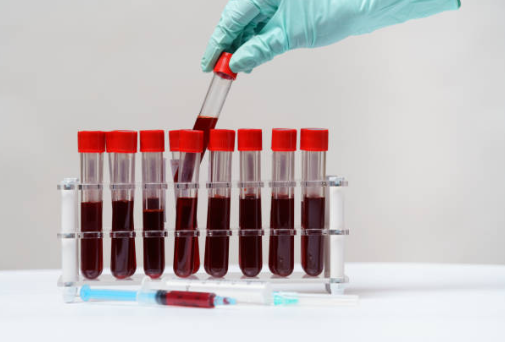 A life-saving legacy: SANBS marks 25 years of giving hope