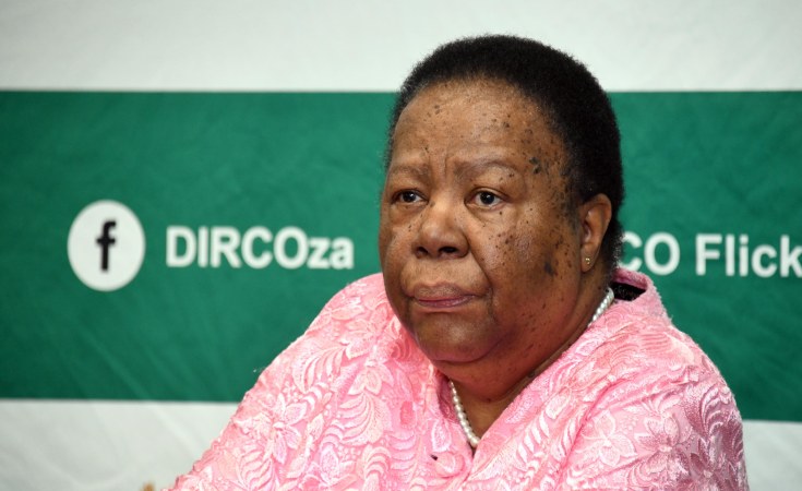Naledi Pandor robbed at gunpoint during housebreak-in