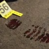Fifth woman’s body discovered under a bridge near Kempton Park