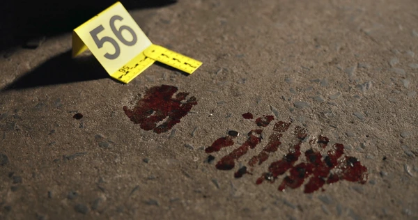 Dating site meetup turns deadly in Pretoria murder case