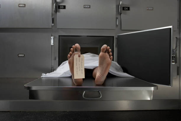 Gauteng forensic protest leaves families unable to collect bodies of loved ones