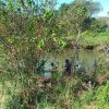 Culpable homicide case opened after two bodies recovered from Crocodile River