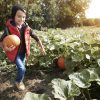 Soft skills, agripreneurship and early childhood: one blueprint for solving SA’s youth unemployment