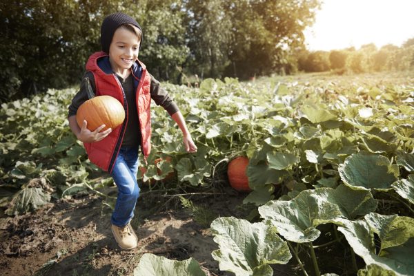 Soft skills, agripreneurship and early childhood: One blueprint for solving SA's youth unemployment