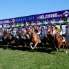 R1 billion boom: How the Durban July sparked a financial renaissance for SA Racing
