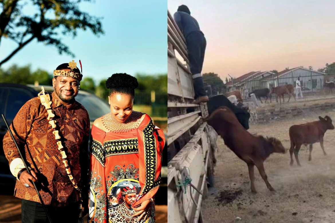 WATCH: King Misuzulu pays lobola for fourth wife, Princess Sihle Mdluli