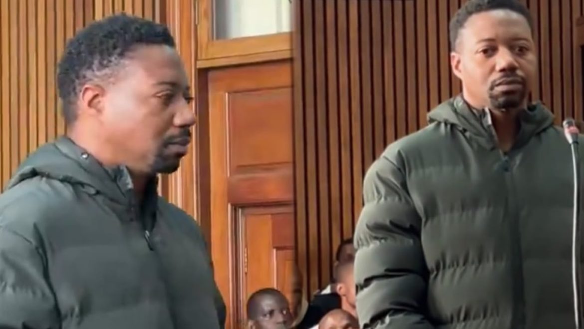 Triple murder accused Tshuma's extradition case delayed over legal status checks