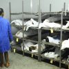 WATCH: A mortuary operating inside a spaza shop busted in Pretoria
