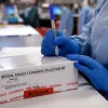 Rape kit shortage in the Western Cape: Could this delay justice for sexual assault survivors 