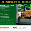 Foot & Mouth Disease