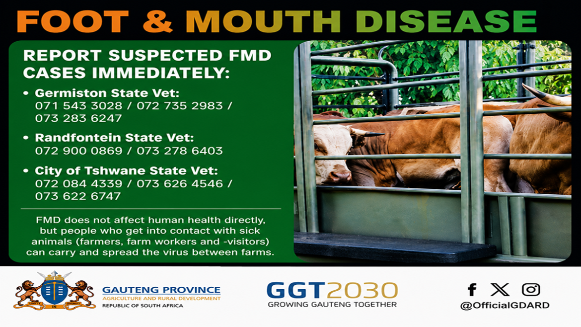 Foot & Mouth Disease
