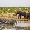 Free entry to SA National Parks announced for September 2026