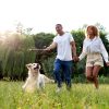 Beyond mates and family: Where does your unexpected loyalty lie?
