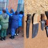 WATCH: Dangerous weapons and drugs seized at Badirile High School, Westrand