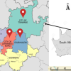 One Province, One Mega-Metro: The bold plan to fuse Joburg, Tshwane, and Ekurhuleni
