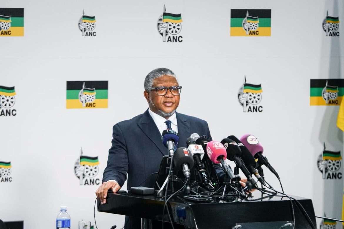 Inaccurate and unverified ID numbers found on ANC election candidate lists