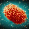 Mpox in South Africa: How the virus spreads and how to protect yourself