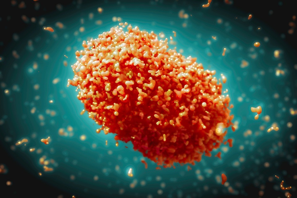 Mpox in South Africa: How the virus spreads and how to protect yourself