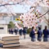 Countdown to October 13: How South Africa’s matrics can conquer the final stretch