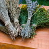 Homeopathy explained: What you need to know about this alternative form of holistic healing