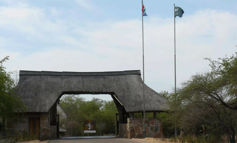 Holidaymakers travelling to the Kruger this festive season urged to avoid the Skukuza entrance