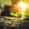 The beauty of starting over: How to embrace a new beginning