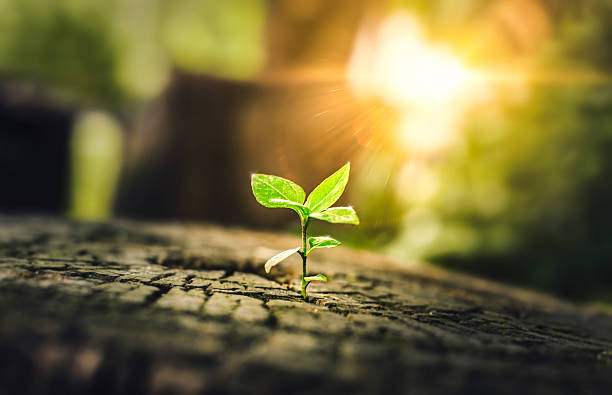 The beauty of starting over: How to embrace a new beginning