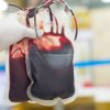 ‘A single donation could save a life’: South Africans urged to donate blood as reserves remain critically low 