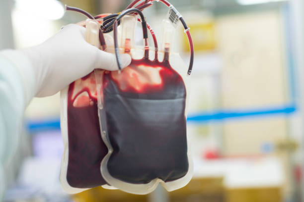 ‘A single donation could save a life’: South Africans urged to donate blood as reserves remain critically low 